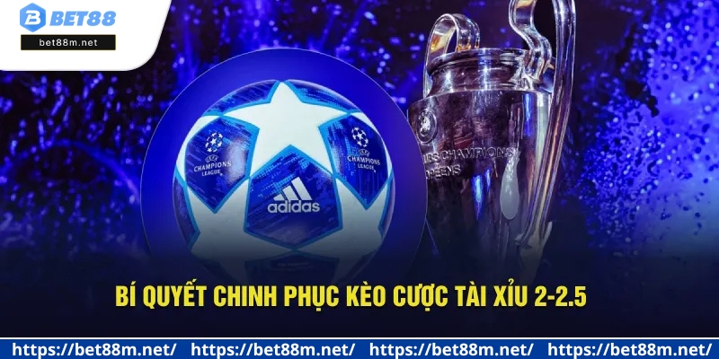 Kèo Tài Xỉu 2-2.5 Là Gì? Hướng Dẫn Đọc Vị Hiệu Quả Tại Bet88 3 Cẩm nang cược Tài Xỉu 2-2.5 hiệu quả