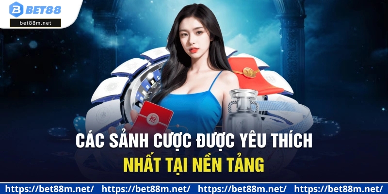 Trang Chủ 17 Các sảnh cược được yêu thích nhất tại nền tảng