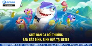 Chơi Bắn Cá Đổi Thưởng - Săn Bắt Đỉnh, Rinh Quà Tại Bet88