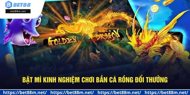 Bắn Cá Rồng Online Tại Bet88 - Đồ Họa 3D, Săn Bắt Cực Đã 3 Chia sẻ những mẹo săn cá Rồng từ cao thủ