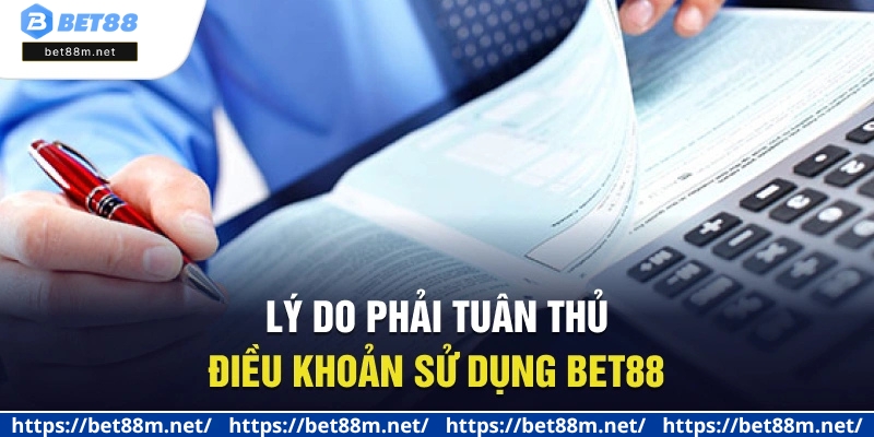 Điều Khoản Sử Dụng BET88 - Cẩm Nang Cần Thiết Cho Tân Thủ 2 Lý do phải tuân thủ điều khoản sử dụng BET88