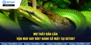 Mơ Thấy Rắn Cắn - Vận May Hay Rủi? Đánh Số Mấy Tại Bet88?