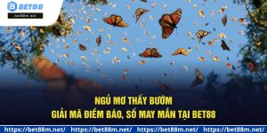 Ngủ Mơ Thấy Bướm - Giải Mã Điềm Báo, Số May Mắn Tại Bet88