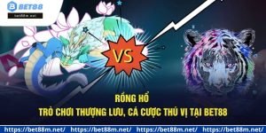 Rồng Hổ - Trò Chơi Thượng Lưu, Cá Cược Thú Vị Tại Bet88