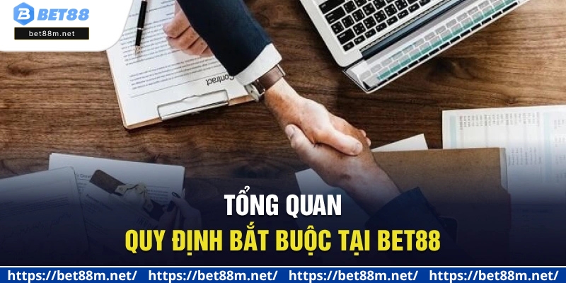 Điều Khoản Sử Dụng BET88 - Cẩm Nang Cần Thiết Cho Tân Thủ 1 Tổng quan quy định bắt buộc tại BET88
